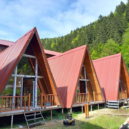 Ay Home Apart&Bungalov Uzungol Exterior foto